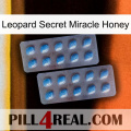 Leopard Secret Miracle Honey viagra4